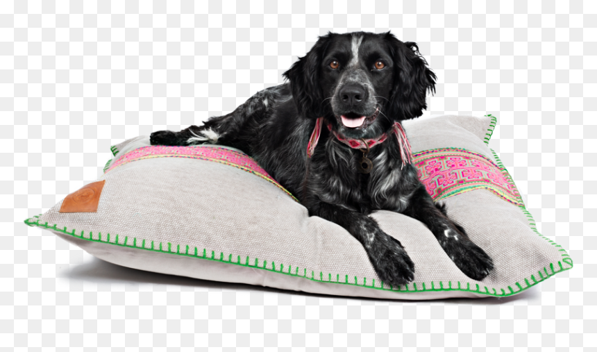Hundebett Bio Baumwolle, HD Png Download - dog bed png
