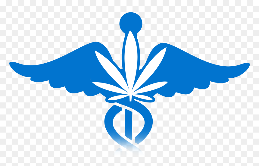 Medicinal Clipart Nursing Symbol - Clip Art, HD Png Download - physician png
