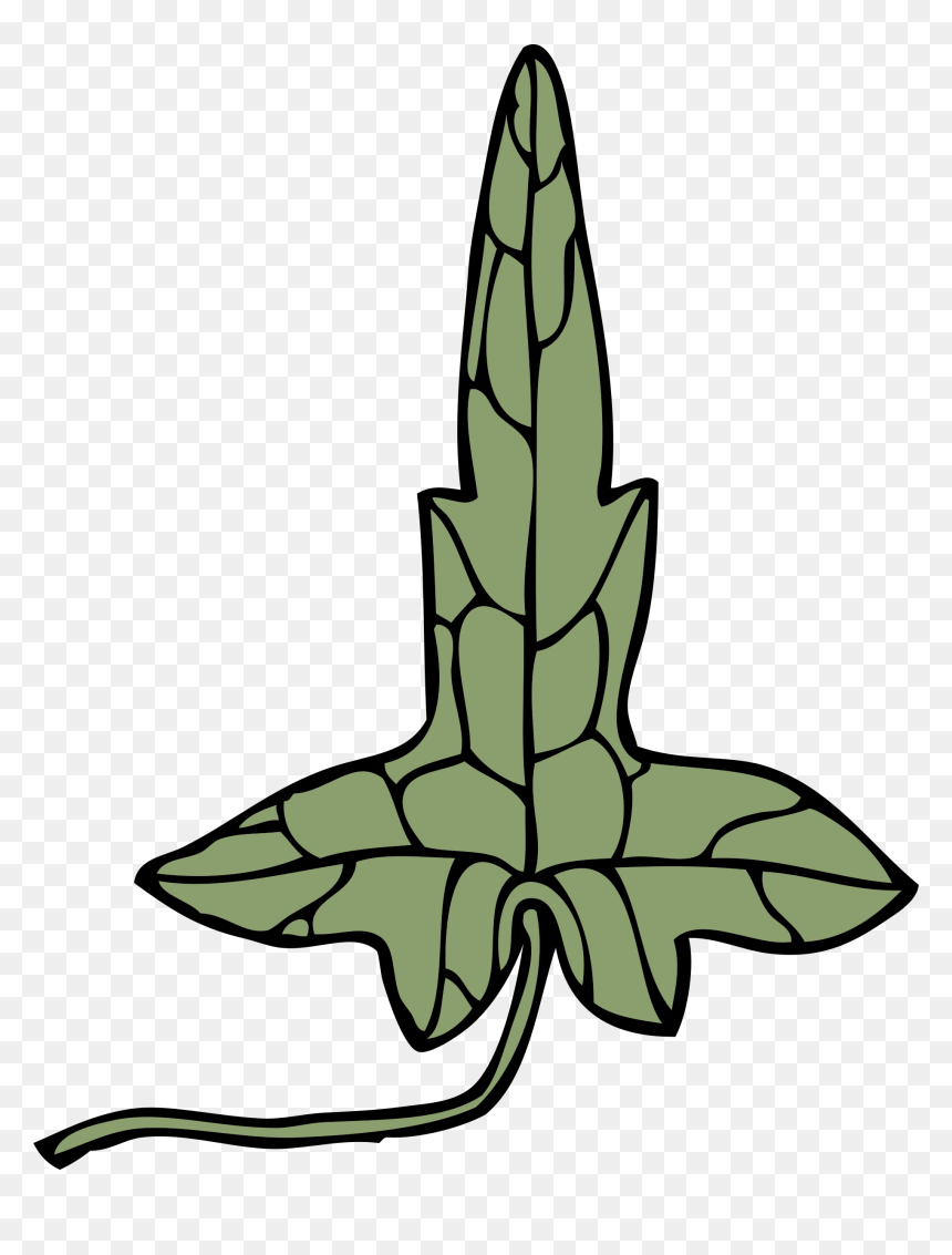 Ivy Leaf 8 Clip Arts - Vector Graphics, HD Png Download - ivy leaf png