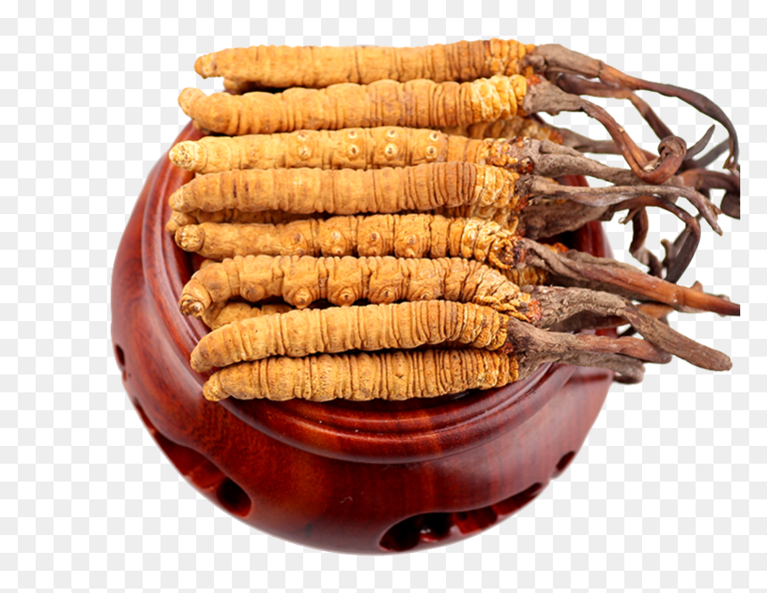Chinese Food Ingredients Png Image - Cordyceps Png, Transparent Png - ingredients png