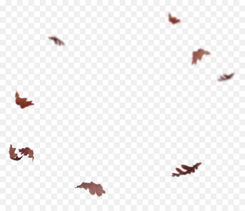 Flying Leaves Png - Autumn Leaves Falling Png, Transparent Png - flying leaves png