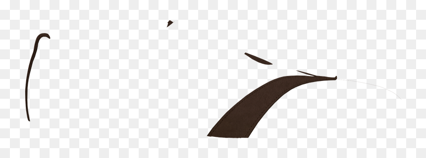 Loon, HD Png Download - visor png