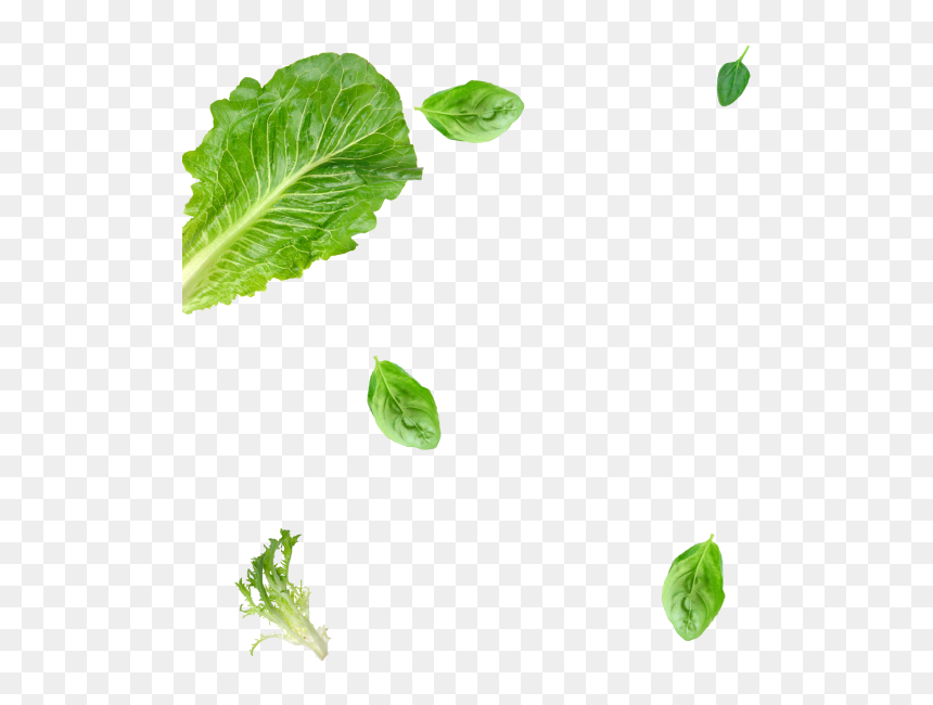 Clip Art, HD Png Download - flying leaves png