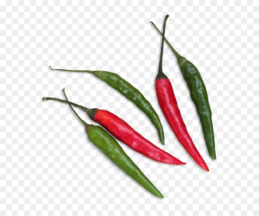 Diners With The Taste Of Real Thai Food, Preparing - Thai Food Ingredient Png, Transparent Png - ingredients png