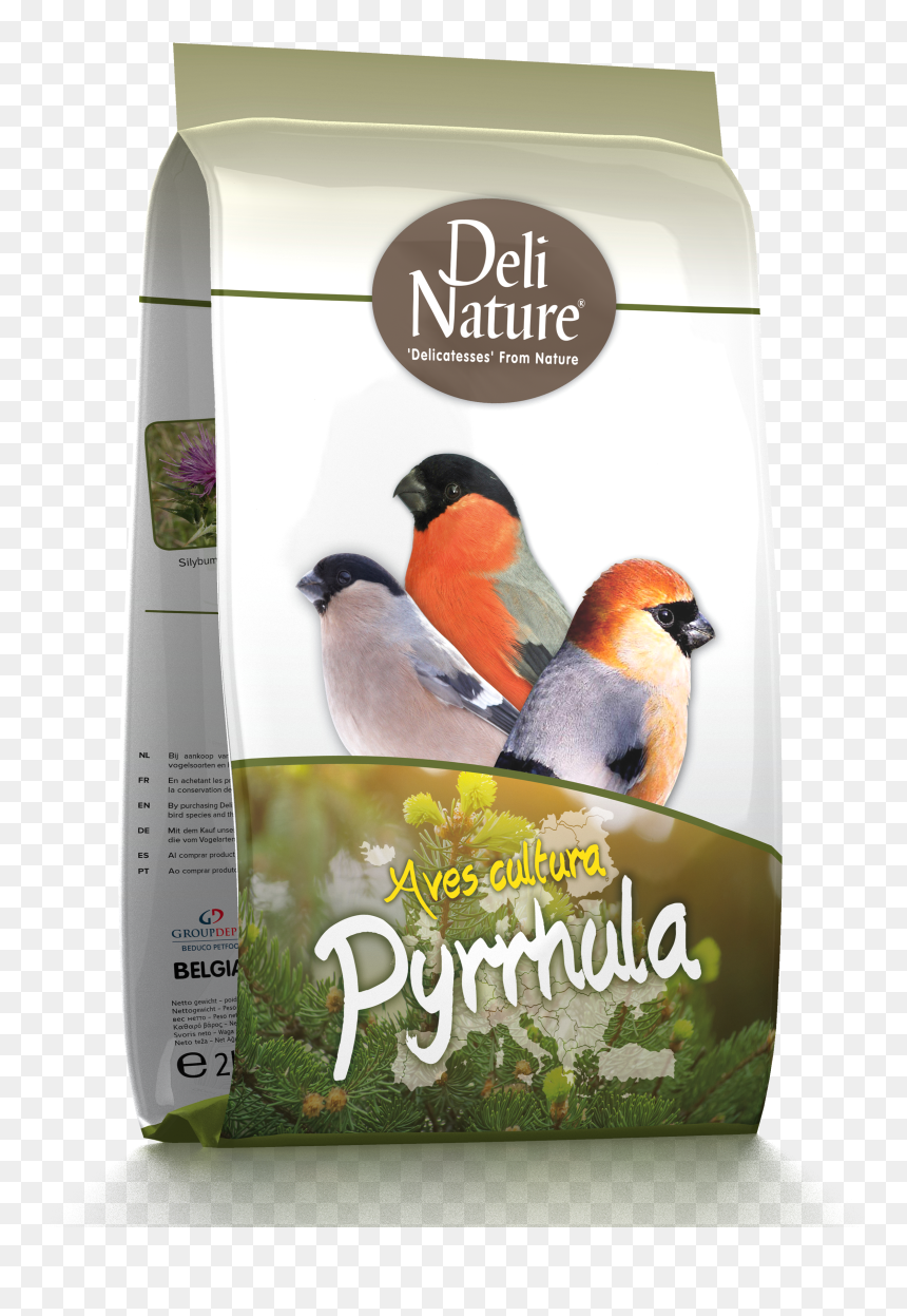 Deli Nature, HD Png Download - aves png