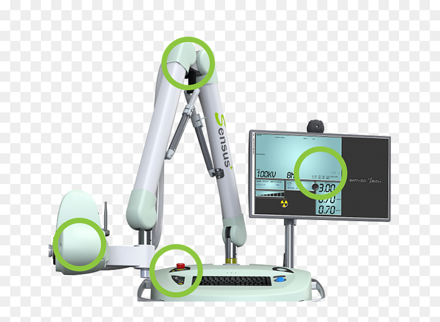 Radiation Therapy, HD Png Download - african american people png