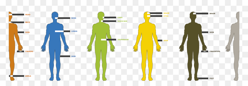 Scale Of Human Desire , Png Download - Human Scale, Transparent Png - human scale png