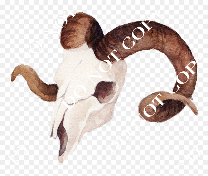 羊 頭骨 , Png Download - Watercolor Painting, Transparent Png - goat skull png
