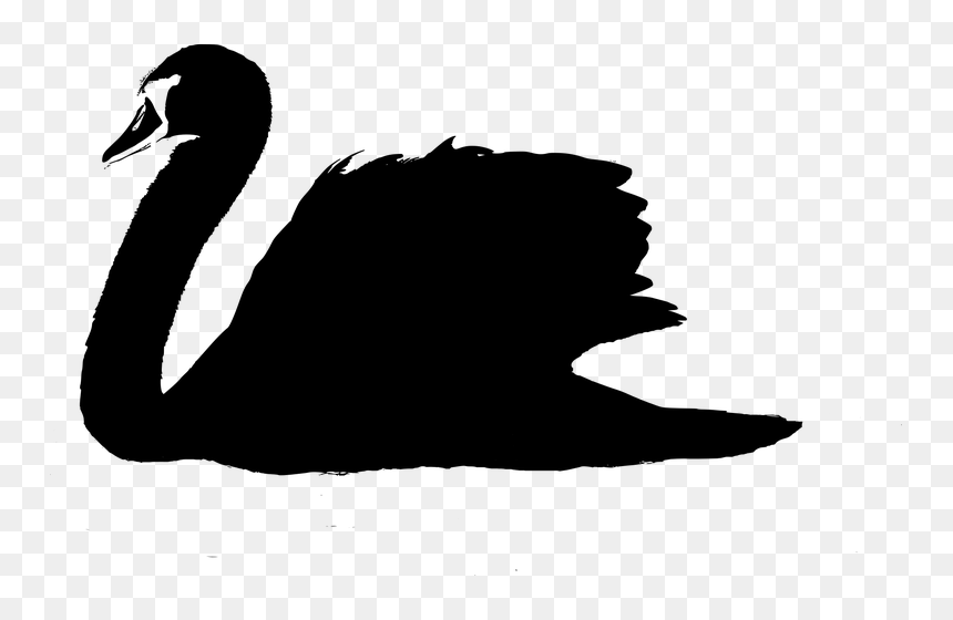#sticker #silhouette #swan #freetoedit - Vector Swan Png, Transparent Png - swan silhouette png