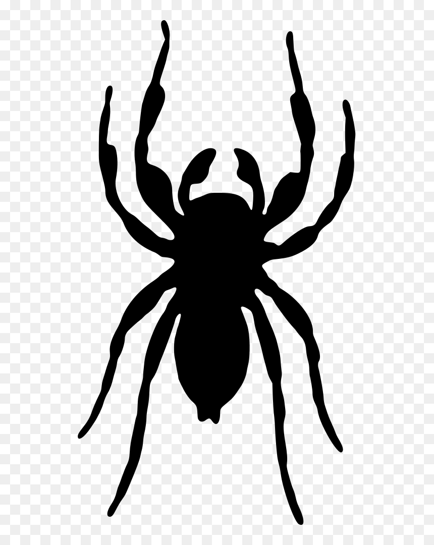 Spider Silhouette , Png Download - Clip Art, Transparent Png - spider silhouette png