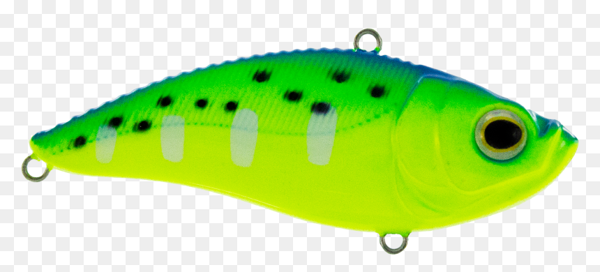 Pomacentridae, HD Png Download - fishing lure png