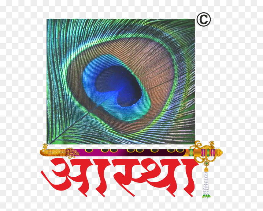 Aastha Vedic Sansthan - Peafowl, HD Png Download - holy water png