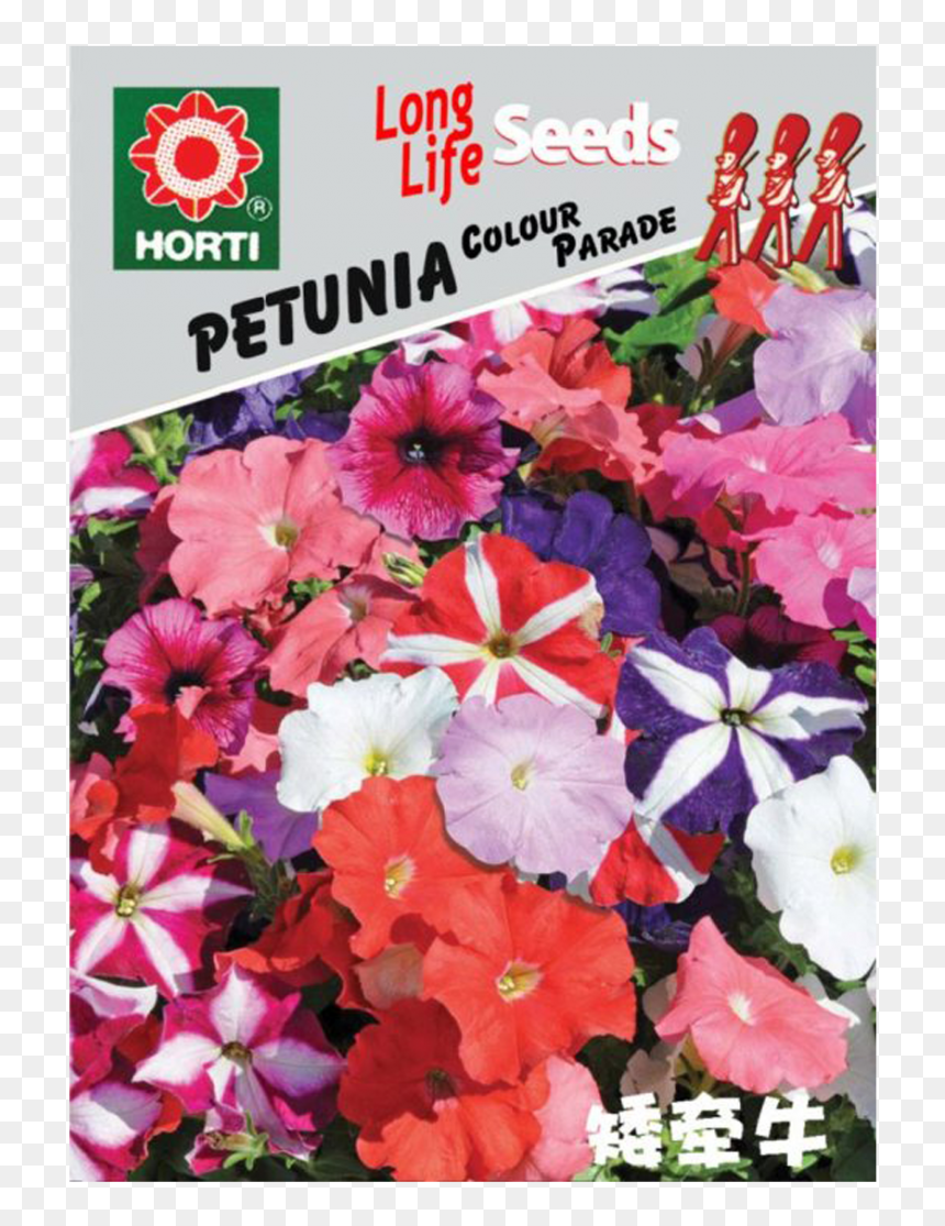 Summer Bedding Plants, HD Png Download - petunia png