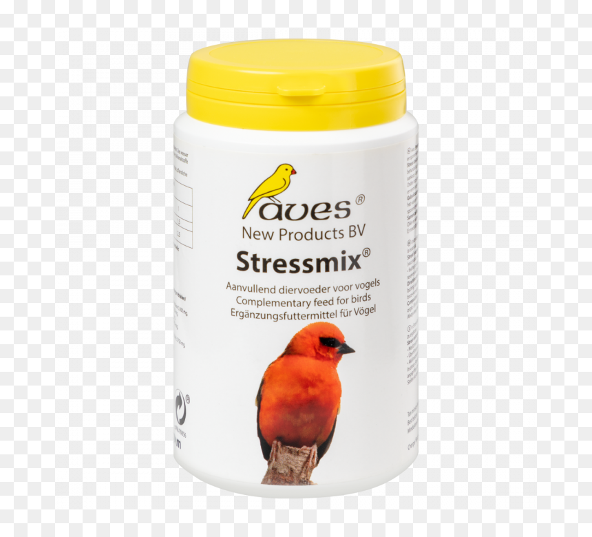 Canary, HD Png Download - aves png
