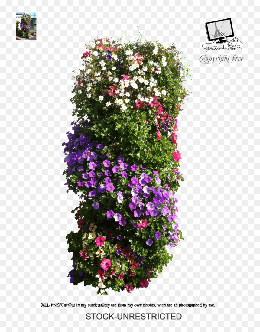 Please Follow The Rules In Our Journal Download For - Portable Network Graphics, HD Png Download - petunia png