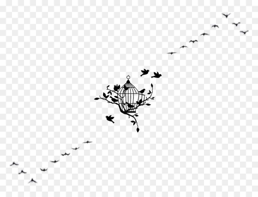 #aves #ave #bird #birds #canary #blackcanary - Illustration, HD Png Download - aves png