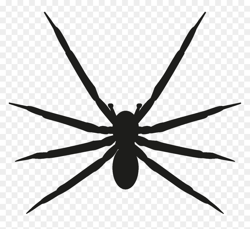 Insects Set [silhouette] Png - Insects Vector, Transparent Png - spider silhouette png