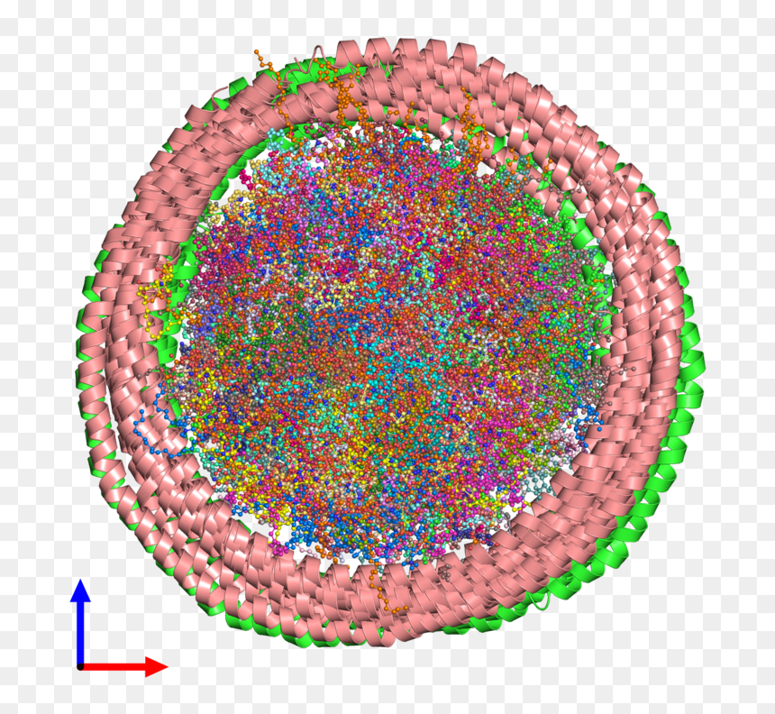 Pdb 2msc Coloured By Chain And Viewed From The Front - Circle, HD Png Download - chain circle png