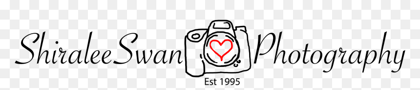 Shiralee Swan Photography, HD Png Download - swan silhouette png