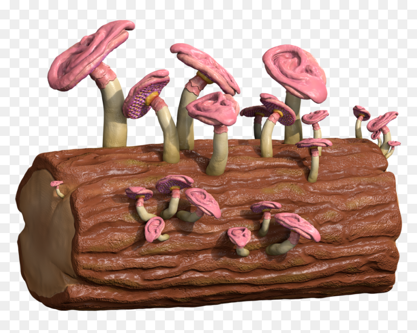 Jews Ear, HD Png Download - club sandwich png