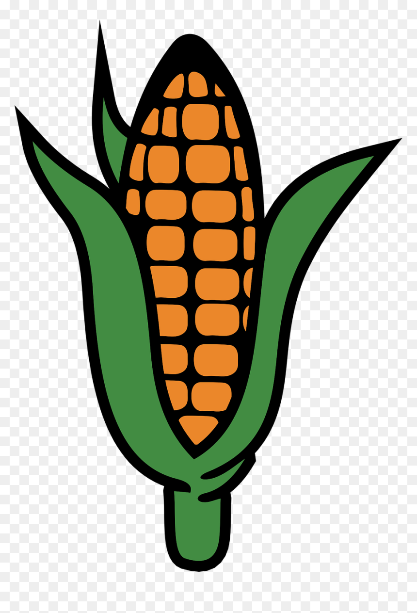 Corn Clipart, HD Png Download - corn plant png