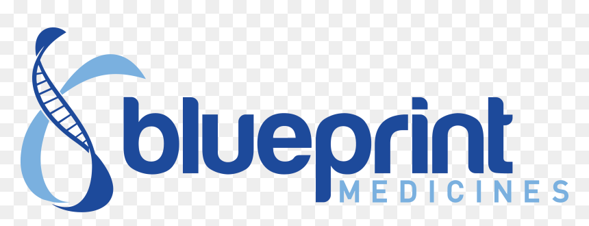 Blueprint Medicines Company Logo - Blueprint Medicines Logo, HD Png Download - blue print png