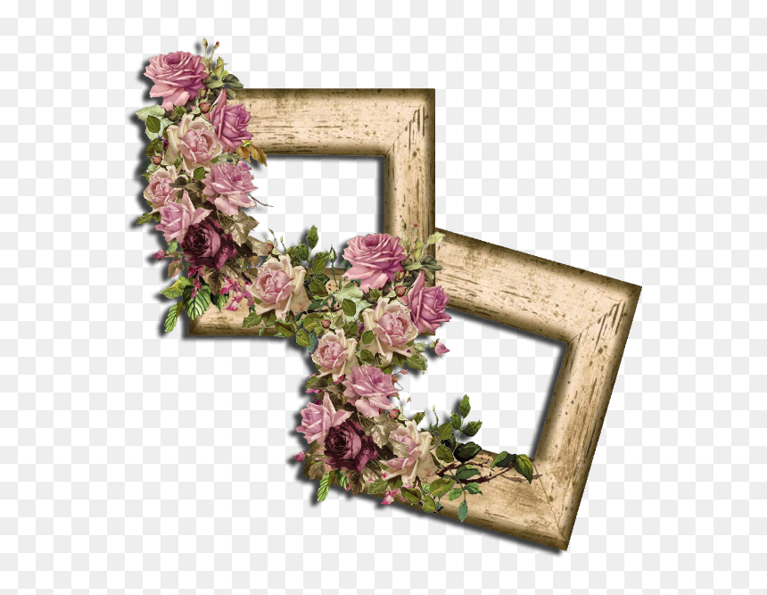 Transparent Molduras Batizado Png - Garden Roses, Png Download - molduras batizado png