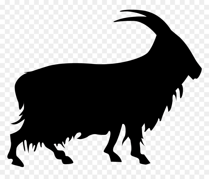 The Cashmir Goat - Bull, HD Png Download - goat skull png