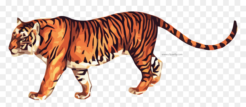 Animated Picture Of A Tiger, HD Png Download - tiger icon png