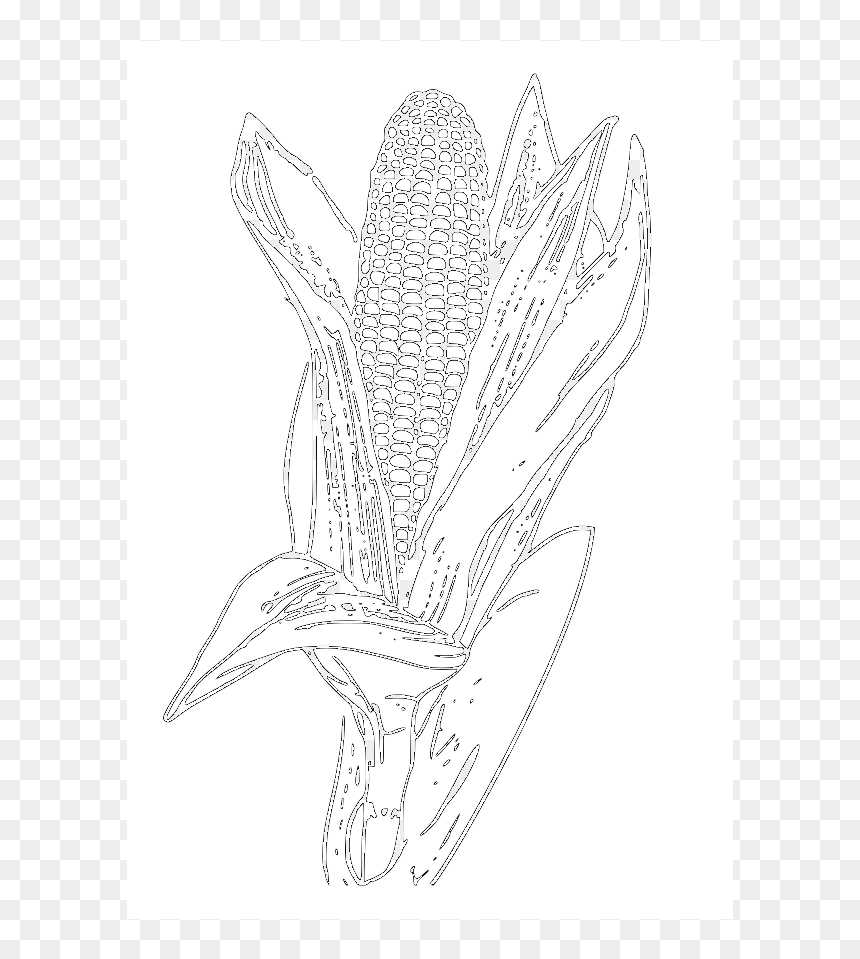 Outline Images Of Crop, HD Png Download - corn plant png
