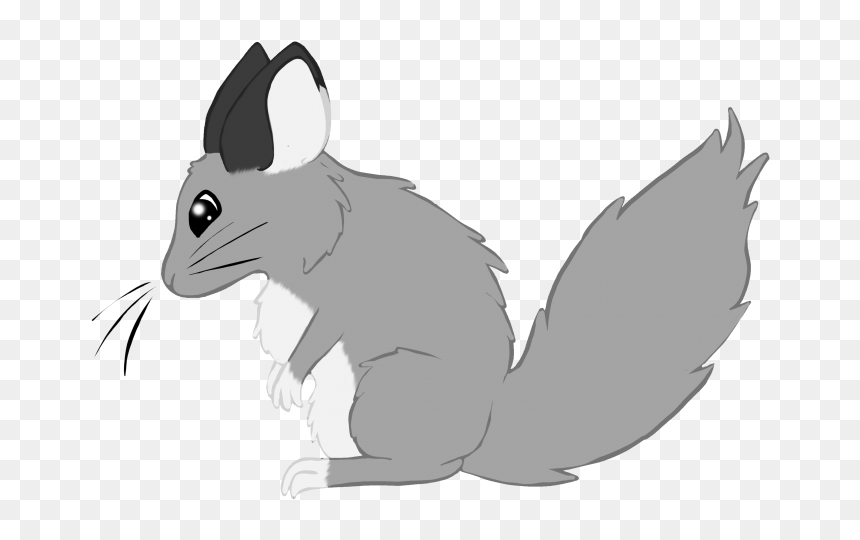 Cartoon, HD Png Download - chinchilla png