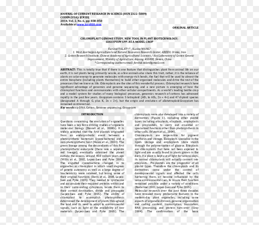 Document, HD Png Download - chloroplast png