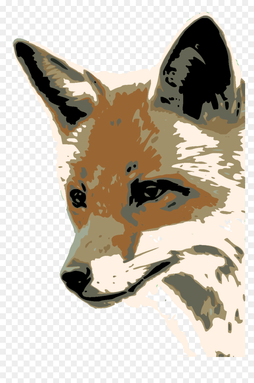 Foxface Dis - Fox Face, HD Png Download - fox face png