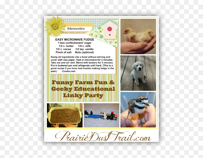 Yes, Spring At The Funny Farm The Children Even Found - Dog Licks, HD Png Download - dust trail png