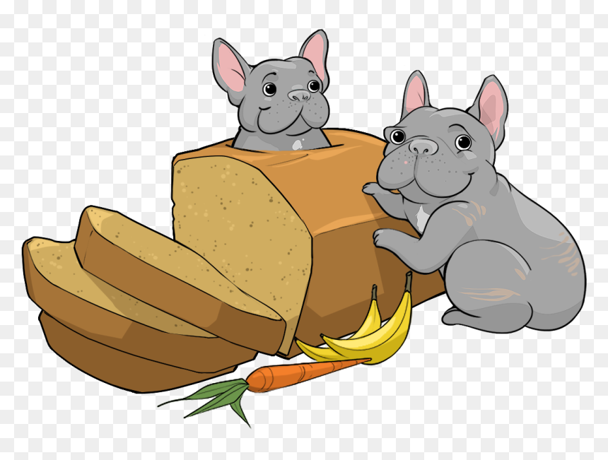 Get All 3 Henry & Penny Breakfast Treats You Wouldn"t - Chinchilla, HD Png Download - chinchilla png