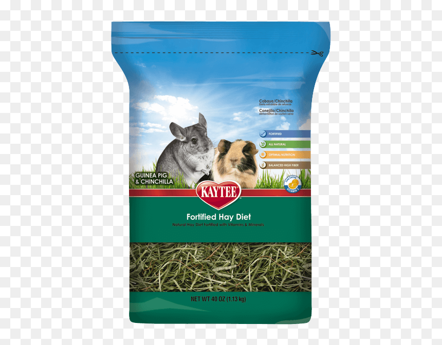 Hay Transparent Small - Chinchilla Food Png, Png Download - chinchilla png