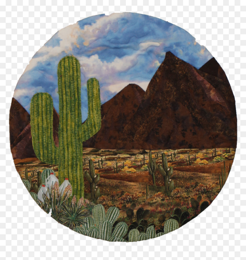 Hedgehog Cactus, HD Png Download - holy water png