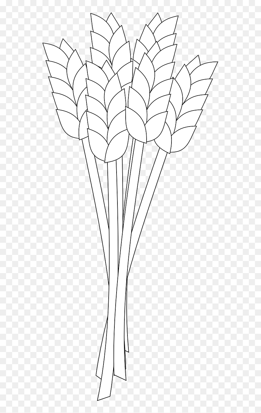 White Wheat Transparent, HD Png Download - corn plant png