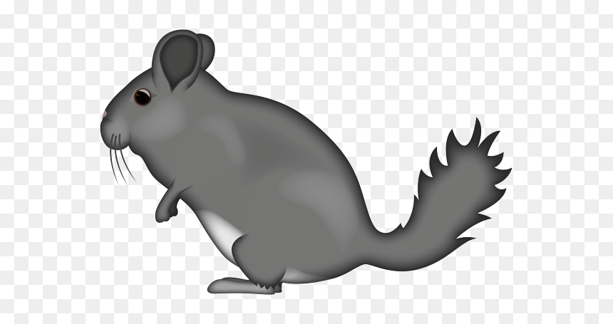 Mouse, HD Png Download - chinchilla png