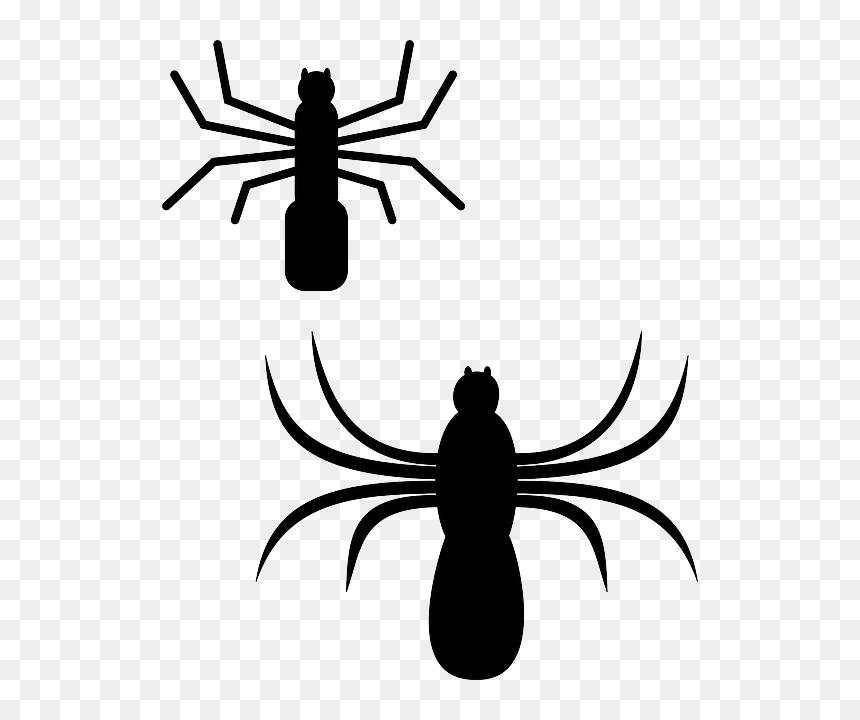 Silhouette, Cartoon, Bugs, Spider, Web, Insect, Spiders - Spiders Clip Art, HD Png Download - spider clipart png