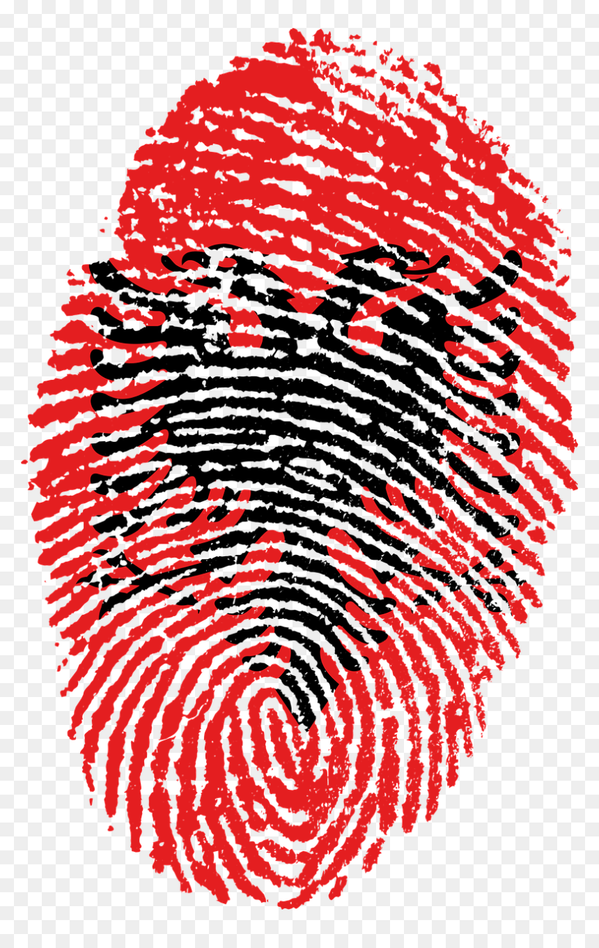 Morocco Flag Fingerprint, HD Png Download - country flags png