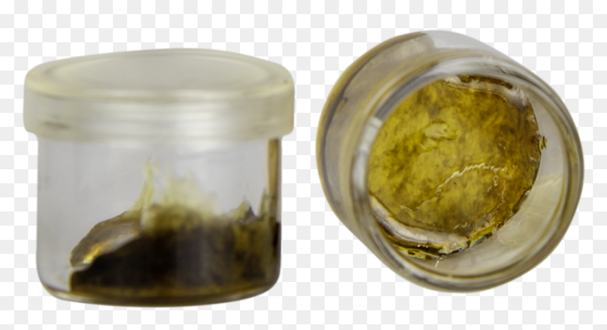 $45 Tax - Invertebrate, HD Png Download - gold ak47 png