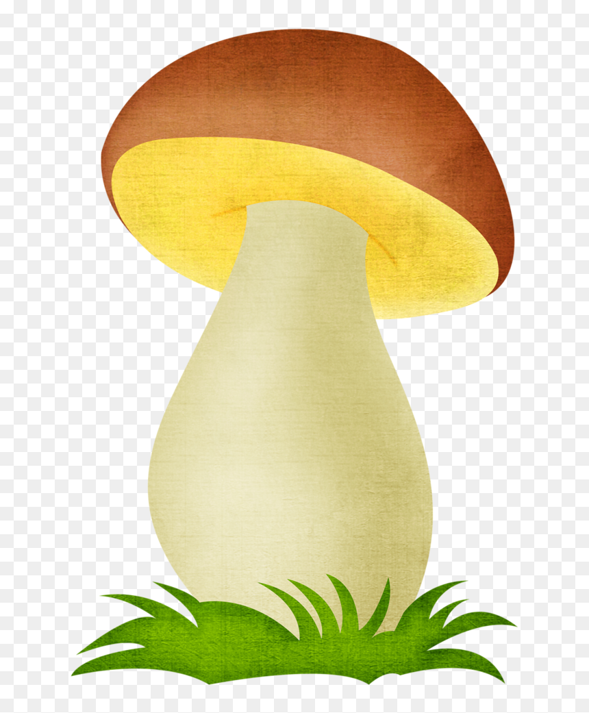 Png Album Shrooms - Edible Mushroom, Transparent Png - shrooms png