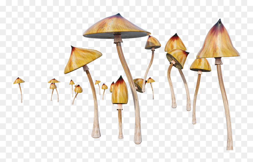 Lamp, HD Png Download - shrooms png