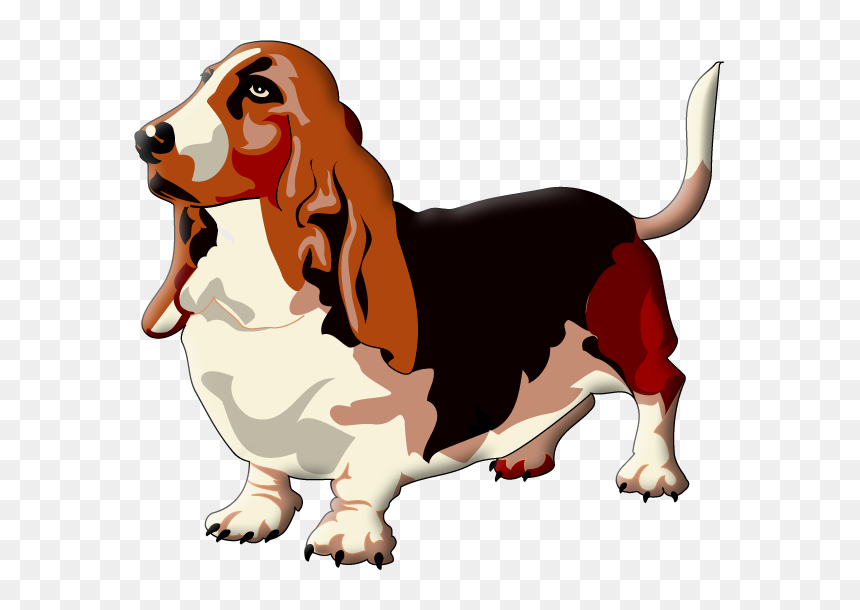 Transparent Dog Beagle Puppy Paw Clipart For Activities - Basset Hound, HD Png Download - puppy paw png