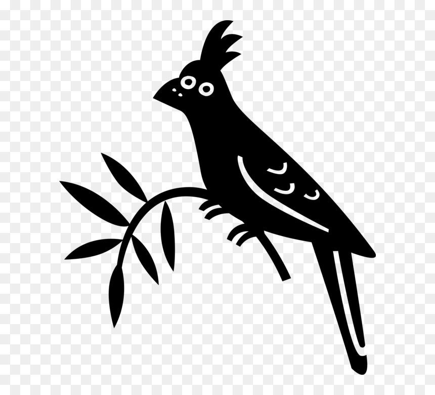 Transparent Tree Branch Vector Png - Steller S Jay, Png Download - tree branch vector png