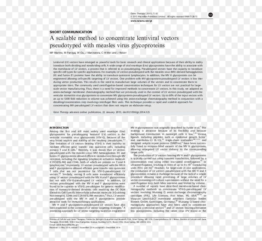 Essay Article Blood Cancer, HD Png Download - celular vector png