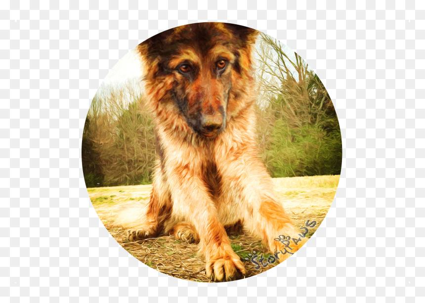 Dog Catches Something, HD Png Download - puppy paw png