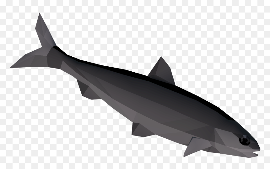 Burnt Tarpon Is Made By Accidentally Burning Raw Tarpon - Wide Sawfish, HD Png Download - burnt edges png