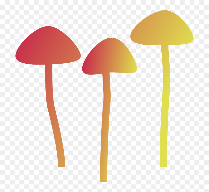 Agaricus, HD Png Download - shrooms png